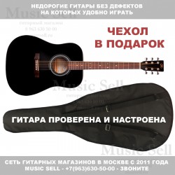 Акустическая гитара SX Guitars дредноут + чехол