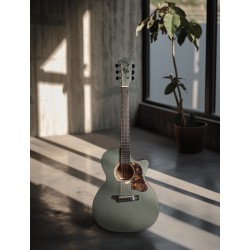 Gopherwood i232RC Silver Haze + Чехол + Ремень + Доработка Мастером